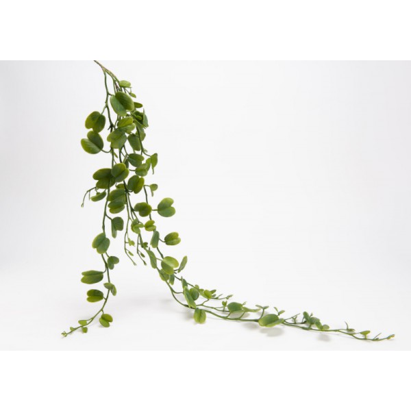 CHUTE DOUBLE FEUILLES