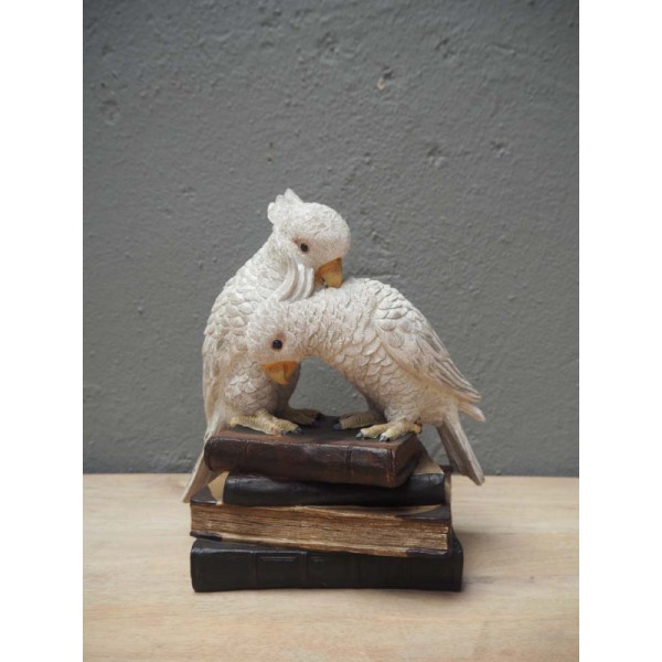 DECO PERROQUET LIVRES