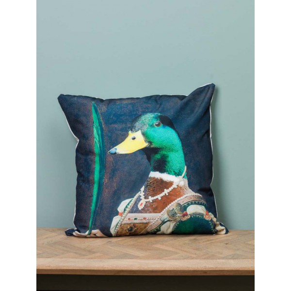 COUSSIN PRINCE DES LACS