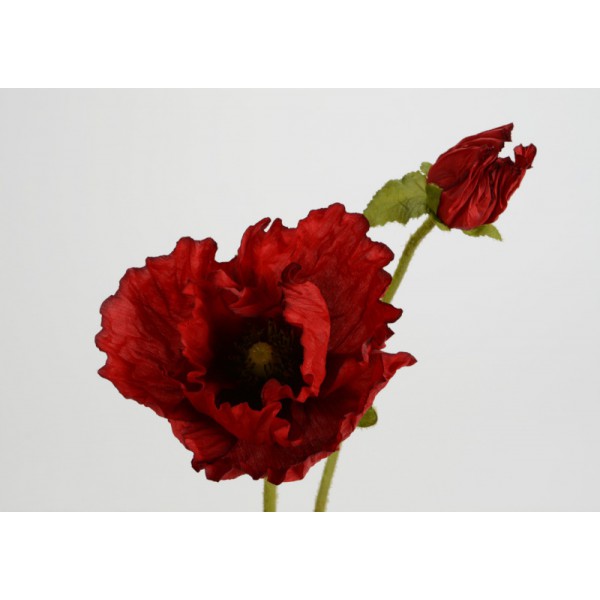 FAKA COQUELICOT