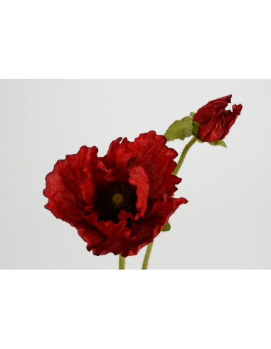 FAKA COQUELICOT