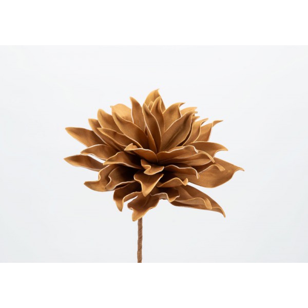 FLEUR VILLA DORE