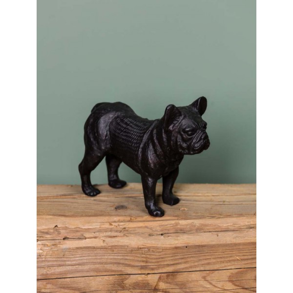BOULEDOGUE FRANCAIS