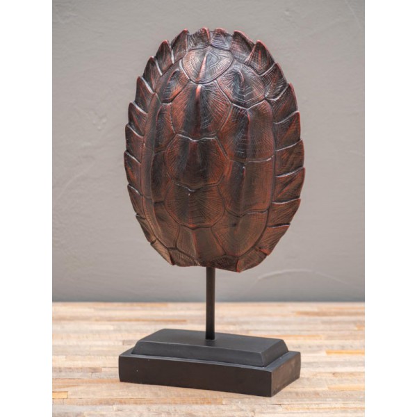 GRANDE CARAPACE TORTUE