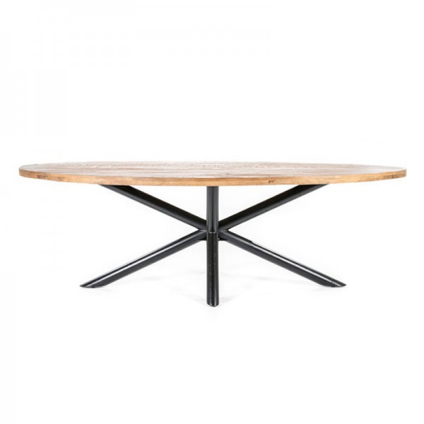 TABLE OVALE MANGUIER 240X110 2
