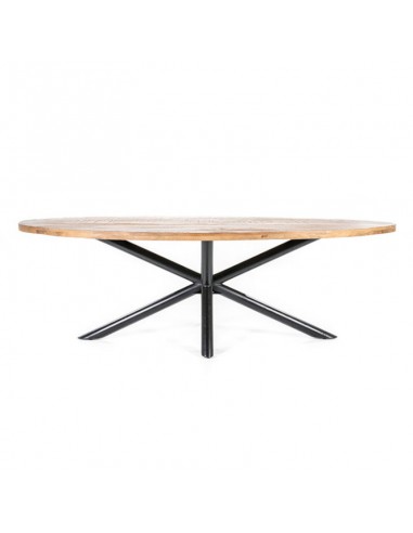 TABLE OVALE MANGUIER 240X110