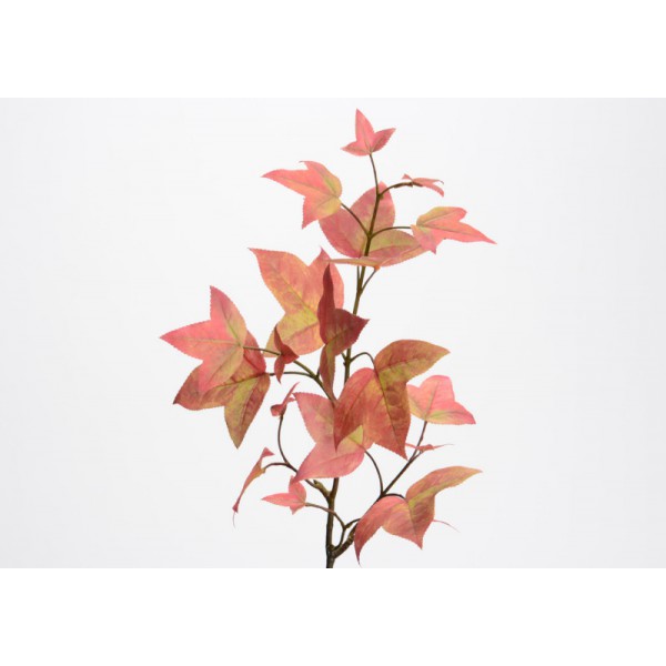 BRANCHE LIERRE HEDERA