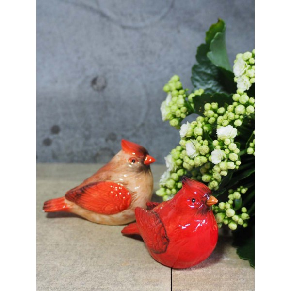 SEL ET POIVRE OISEAUX ROUGES