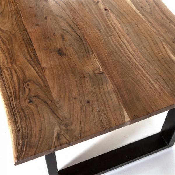 TABLE MANGUIER 300X100