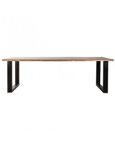 TABLE MANGUIER 300X100