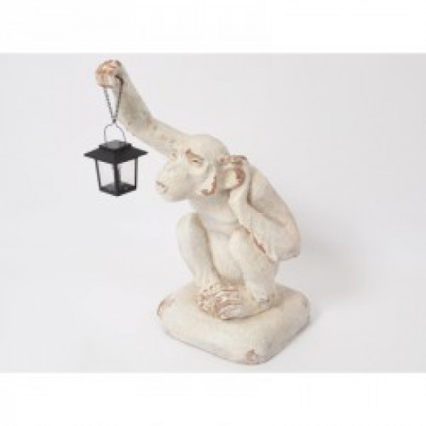 SINGE-LANTERNE