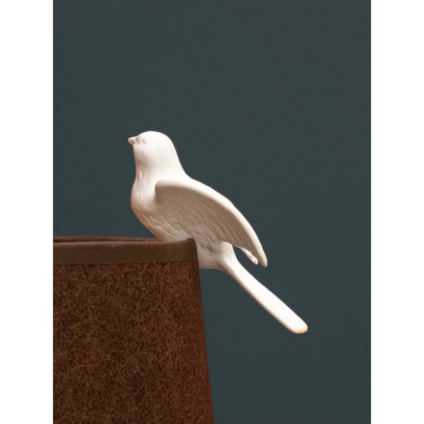 COLOMBE-BISCUIT