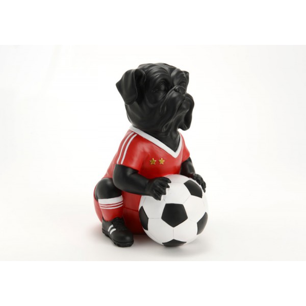 CHIEN-FOOTBALLEUR