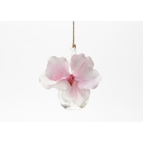 ORCHIDEE-SUSPENDUE