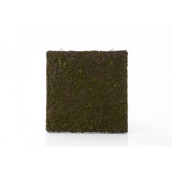 CARRE-MURAL-MOUSSE-50X50