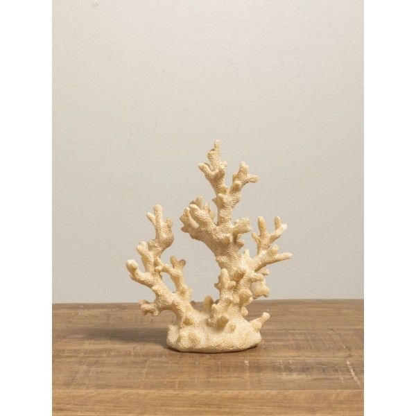 CORAIL-BLANC