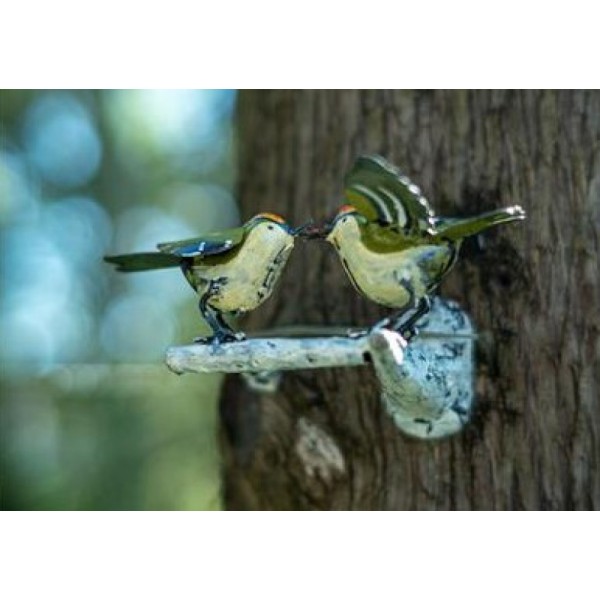 COUPLE-ROITELET-SUR-BRANCHE