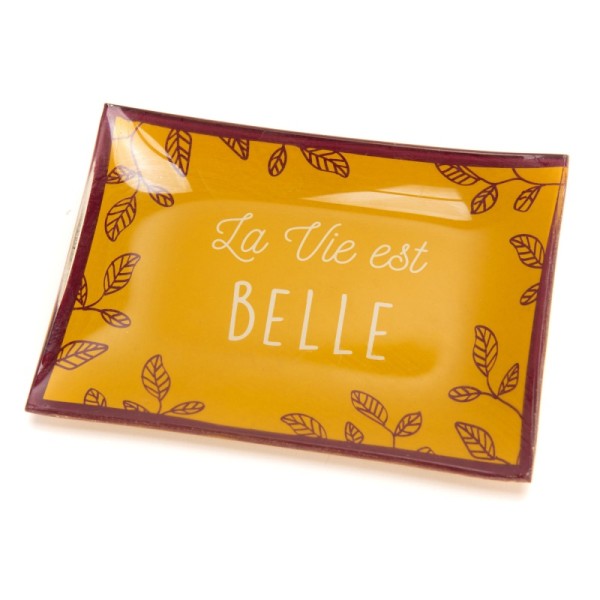 VIDE-POCHE-LA-VIE-EST-BELLE