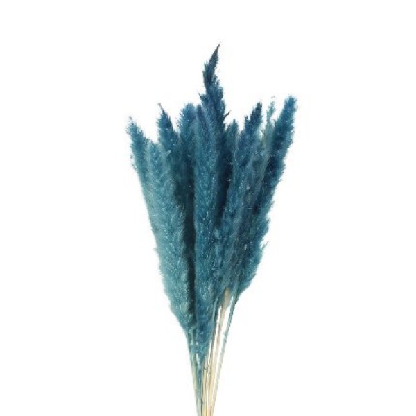 PAMPAS-BLEU