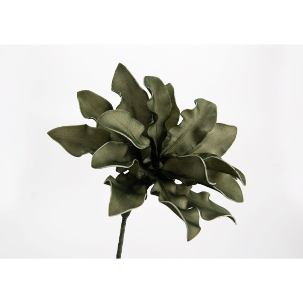 FLEUR-CUMBIA-KAKI-H54