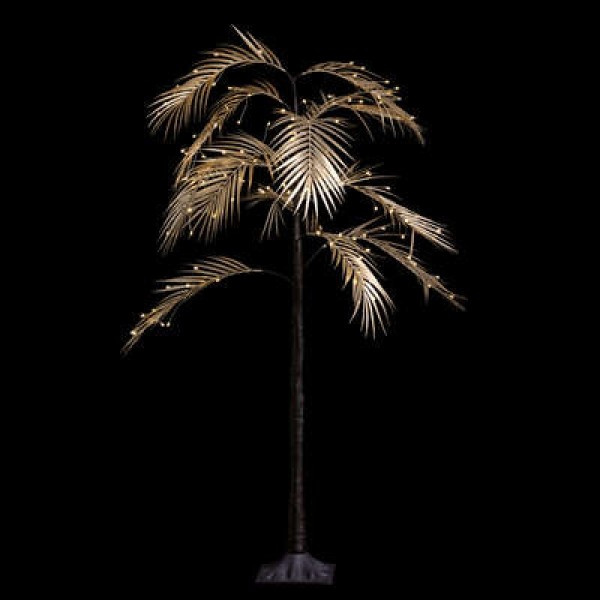 PALMIER-DORE-LUMINEUX