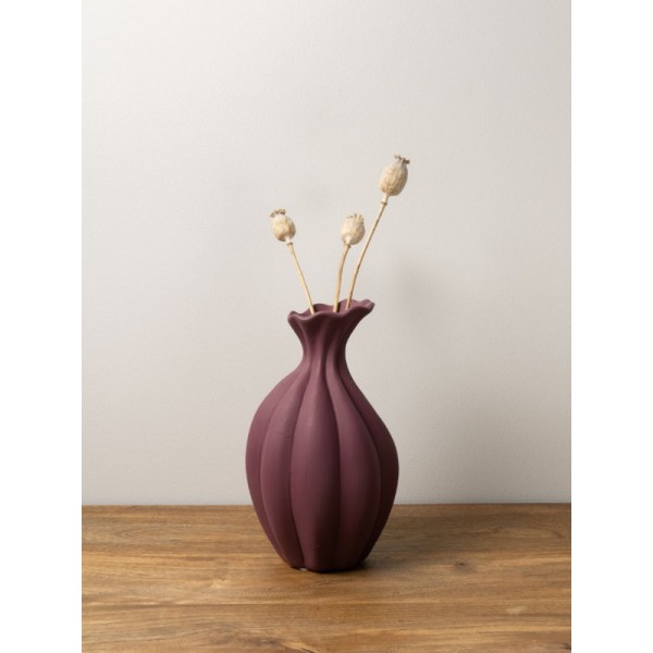 VASE-BORDEAU-RACINE