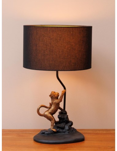 LAMPE-A-POSER-SINGE-SUR-UN-ROCHER