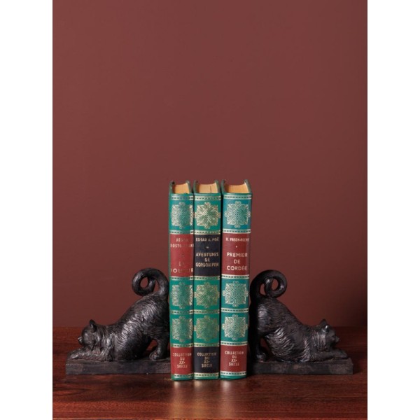 SERRE-LIVRE-CHATS-SALEM