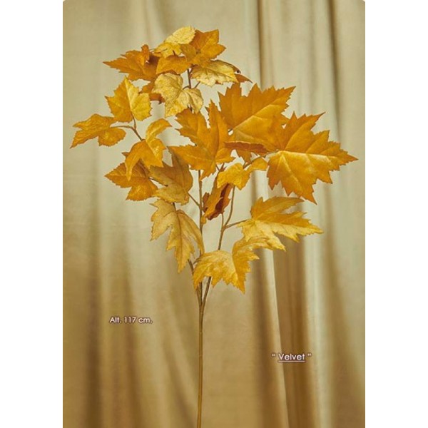 BRANCHE-MAPLE