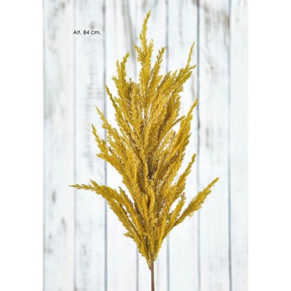 BRANCHE-PAMPA-OLIVE