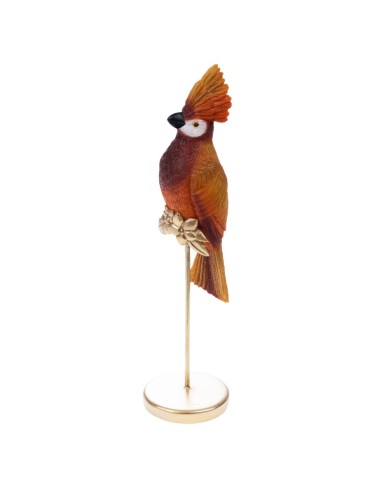 OISEAU-HUPPE-ORANGE