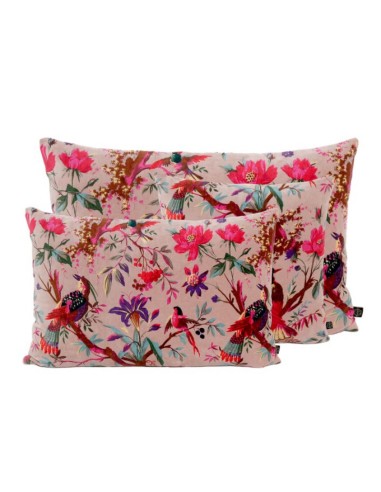 BIRDY-COUSSIN-PETALE-40X60