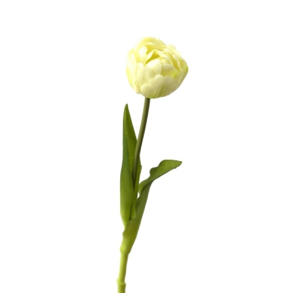 TULIPE-REAL-TOUCH-BLANCHE