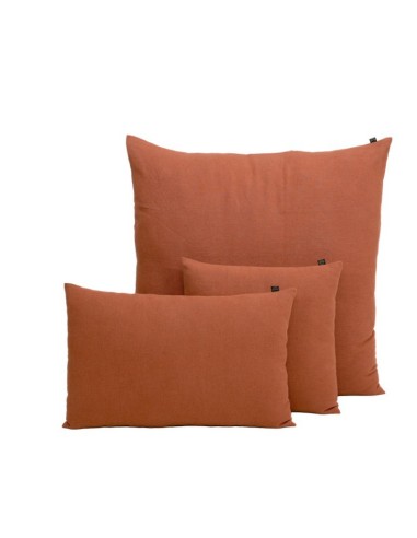 FIGARI-COUSSIN-TERRE-BRULEE-45X45